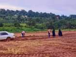 A picture of 50BY100 AT 8M 500 METRES OFF TARMAC ROAD TO THE