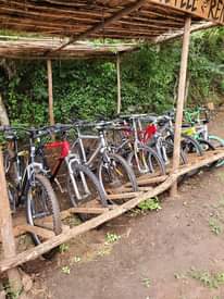 A picture of Easter at Lake Duluti Arusha