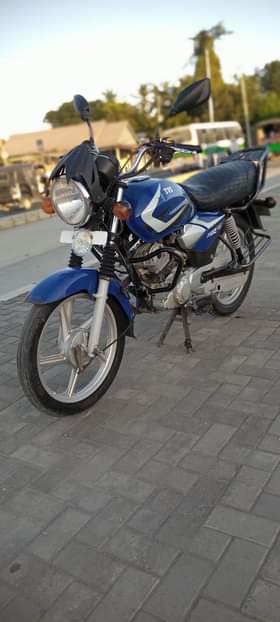 A picture of TVS CC 125
