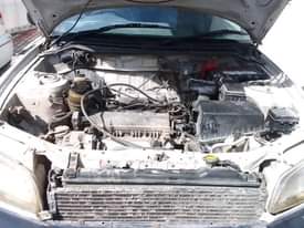 A picture of VITZ