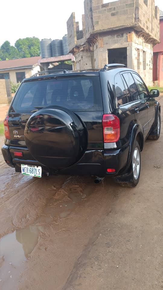 A picture of Rav4