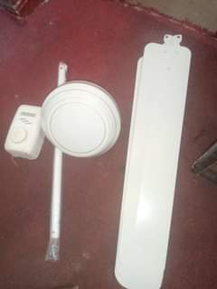 A picture of Feni pangaboy