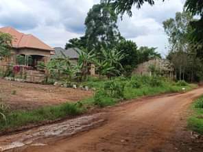 A picture of MAZIMA BISOBOKA get your own plot to day New site