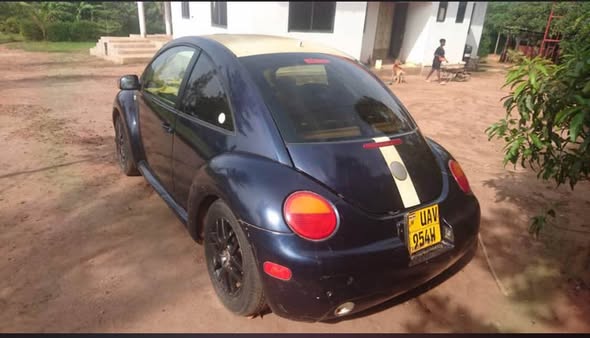 A picture of Beetle