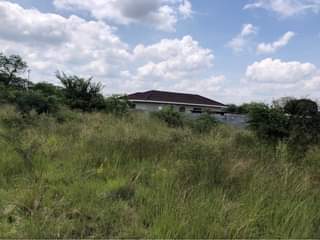 houses to rent bulawayo