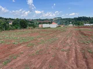 A picture of Plots at 28m Kiwenda