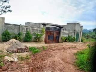 A picture of House on quick sale located at Matugga kiryagonja Town. It