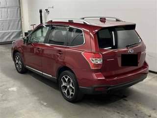 A picture of FORESTER DBA