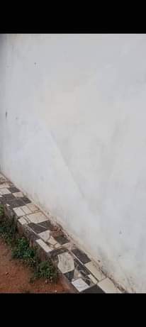 A picture of Shop