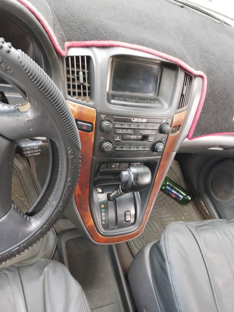 A picture of RX300 very sharp