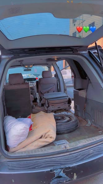A picture of Nissan quest 05