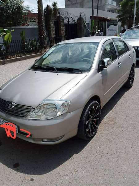 cars