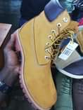 A picture of Timberland Jungle boot