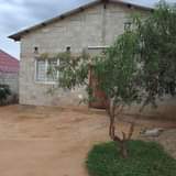 shops