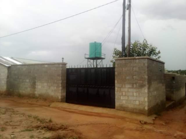 kabanana
