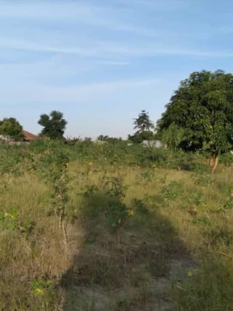 kiwanja
