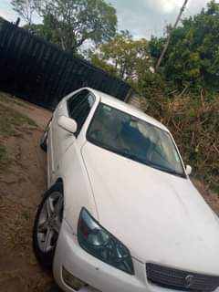 used toyota altezza