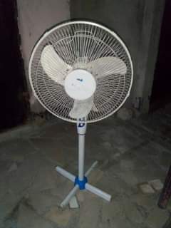 fans
