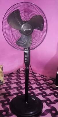 A picture of Feni