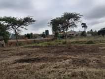 stands