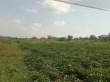 A picture of New site is open located at matugga kilolo Namayamba estate