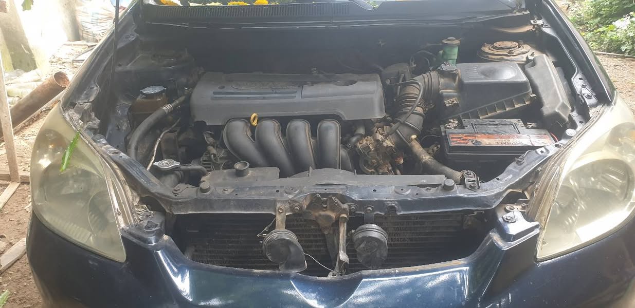 A picture of Toyota matrix