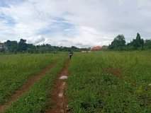 A picture of Matugga Gombe site Now open Ready land titles 700 metres