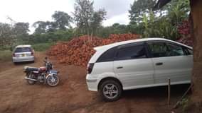 A picture of Toyota Nadia Typ Su