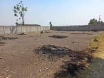 property zimre park