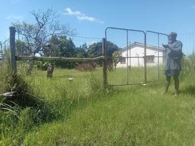 Kzn C.