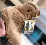 A picture of Desert boots