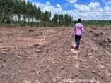 A picture of Cheap plots with titles in kakiri
