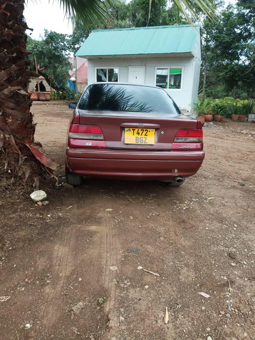 A picture of Carina S i nauza bei 4.7ml ipo Arusha piga cm