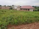 A picture of 50by100 with ready land title at 6m Wakiso Quick Deal