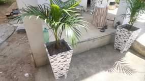 A picture of Flower Pots and Flowers