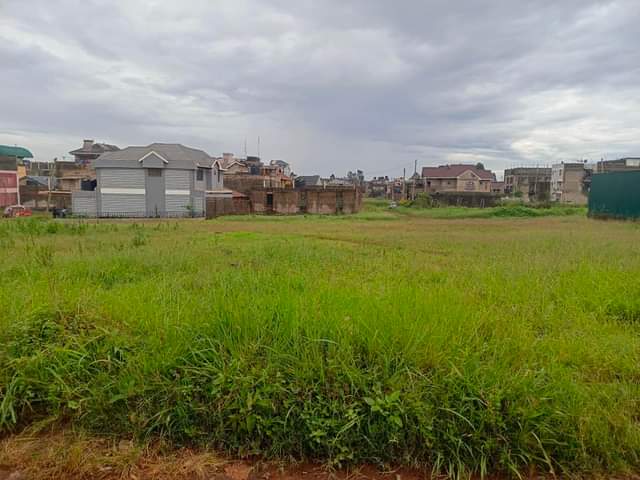 Mugoyah P.