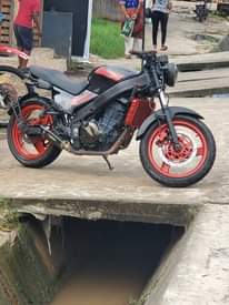 A picture of Kawasaki