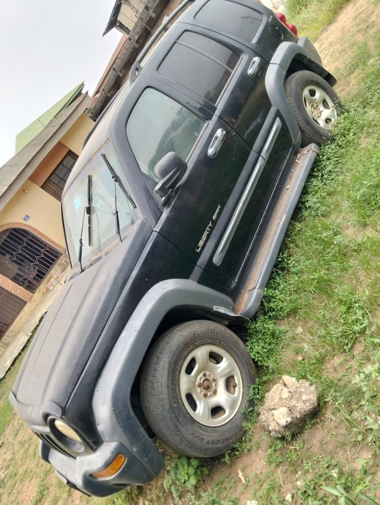A picture of Liberty jeep