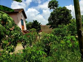 A picture of House for Sale