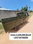 A picture of GUTA KINGLIOM