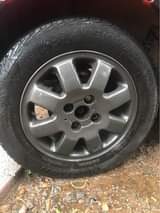 A picture of Mags and tyres size 14