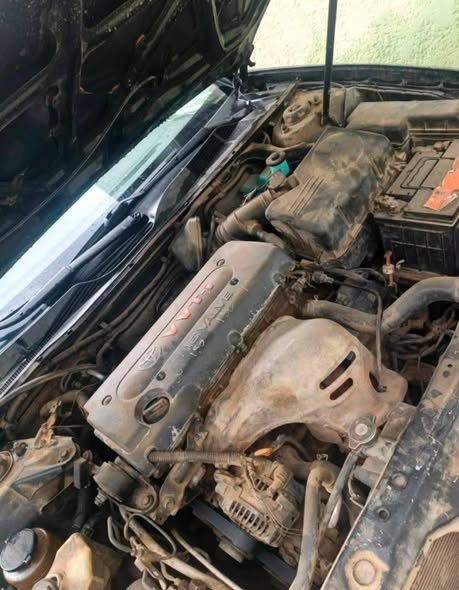 A picture of 2006 Toyota camry bfn 2006