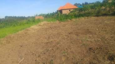 A picture of Plot
