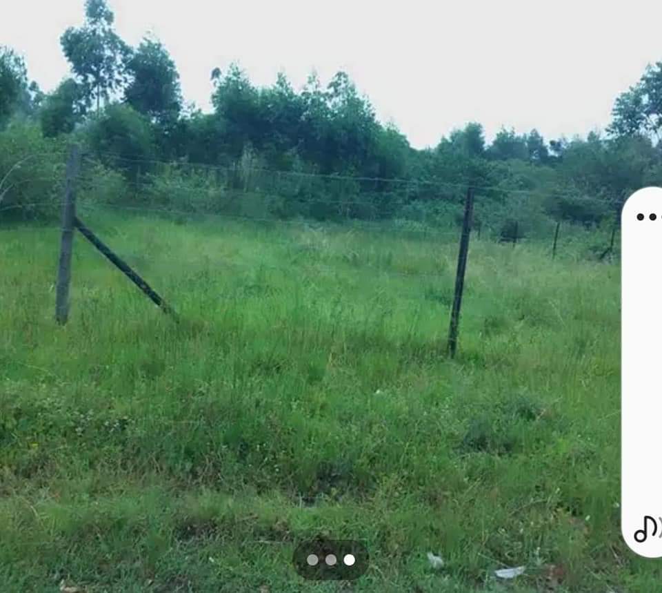 Kzn C.