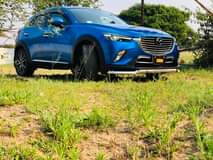 classifieds recent import