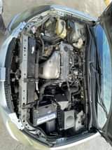 A picture of Cardina