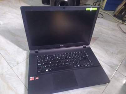 A picture of acer