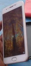 A picture of Sim