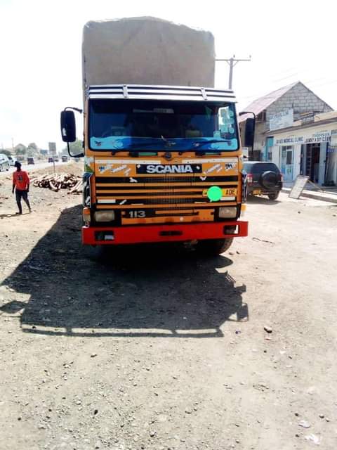 A picture of Gari