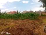 A picture of 25 decimals for sale in Kira Mulawa very good neighborhood